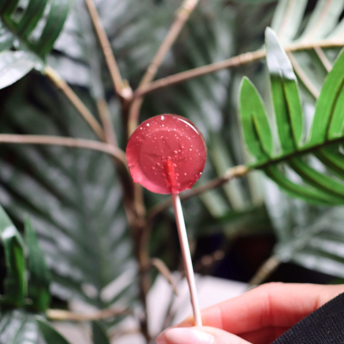 Chef's Lollipop - 25mg - Strawberry