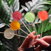 Chef's Lollipop - 25mg - Watermelon
