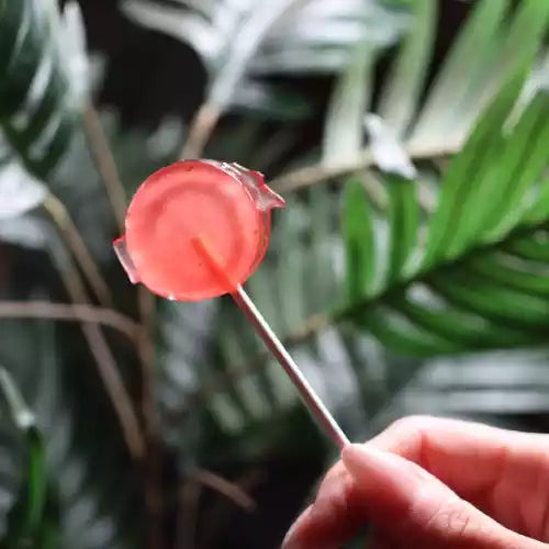 Chef's Lollipop - Blue Razzberry - 25 mg