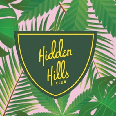 Hidden Hills: Diamond Boys 1g Disposable Collection (Descriptions Down Below)